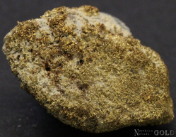 specimen_gold_4489tm_1551937156