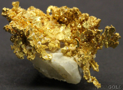 specimen_gold_4791