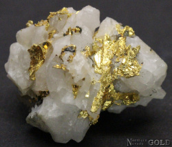 specimen_gold_4798