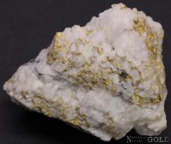 specimen_gold_4858sx