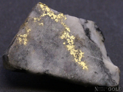 specimen_gold_4920