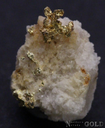 specimen_gold_5049roch