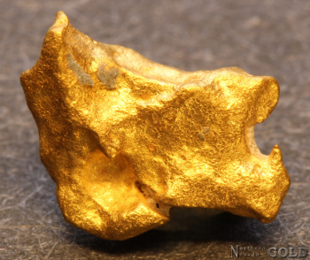 gold_nugget-5643_571103059