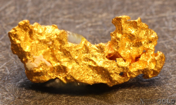 gold_nugget-5644