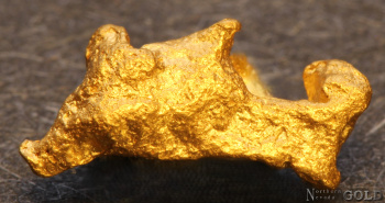 gold_nugget-5645