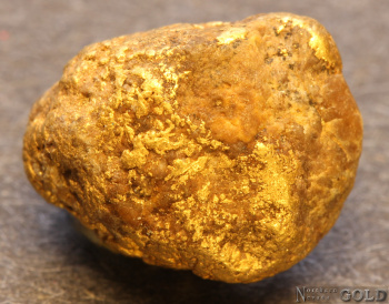 gold_nugget-5648