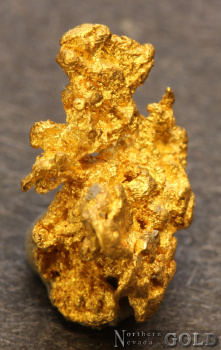 gold_nugget-5672tm-c