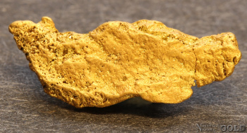 gold_nugget-5673tm