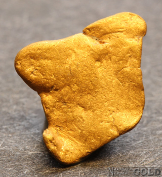 gold_nugget-5677tm-b