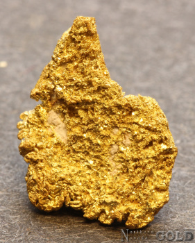 gold_nugget-5679tm-b