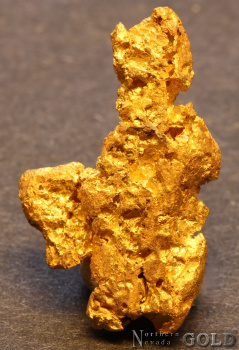 gold_nugget5695-b