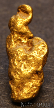 gold_nugget5698-b