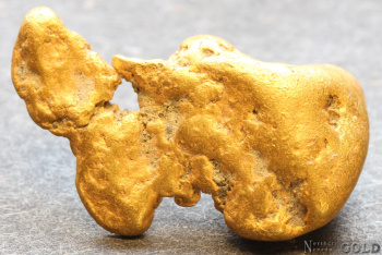 gold_nugget5702-b