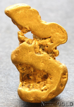 gold_nugget5702-c