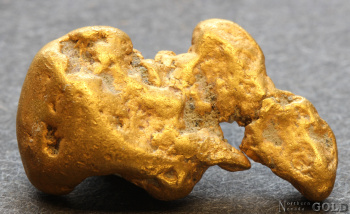gold_nugget5702