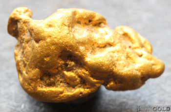 gold_nugget5704