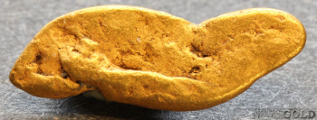 gold_nugget5707