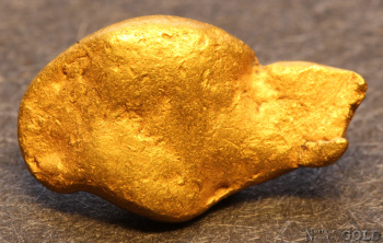 gold_nugget5711