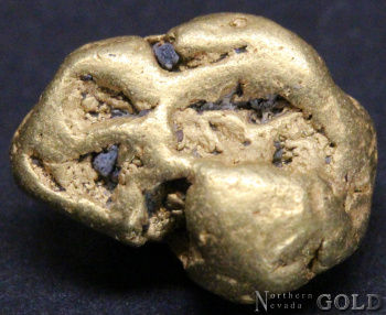 gold_nugget_4807