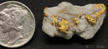 gold_nugget_4819b