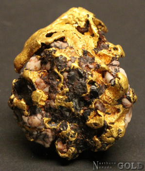 gold_nugget_4937-d