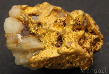 gold_nugget_4949-c