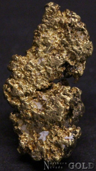 gold_nugget_5027ml-b