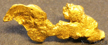 gold_nugget_5576_548005716
