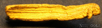 gold_nugget_5579