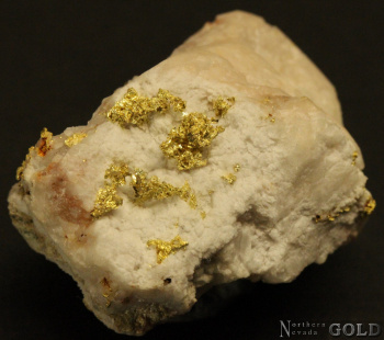 gold_specimen_4703-b