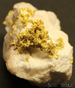 gold_specimen_4703-c