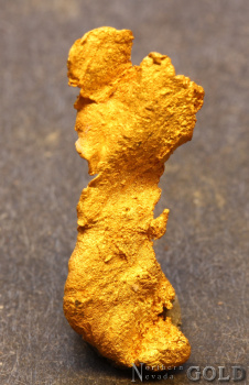 goldnugget_5698rc