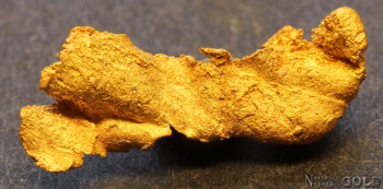 goldnugget_5698rc_b