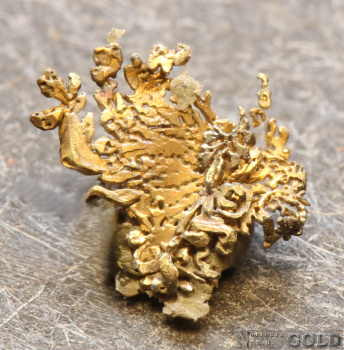 specimen_gold_1-