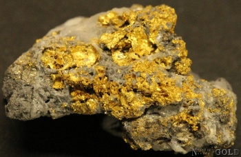 specimen_gold_4214bd