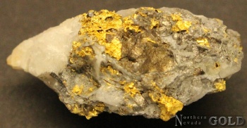 specimen_gold_4219bd-b_800337238