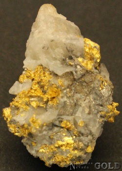 specimen_gold_4219bd-d