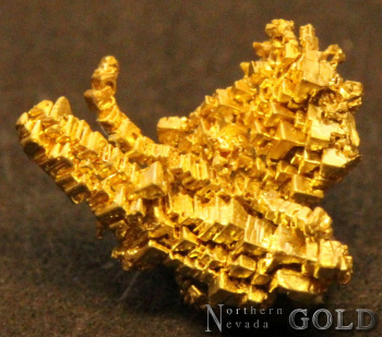 specimen_gold_4620-c