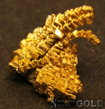 specimen_gold_4620