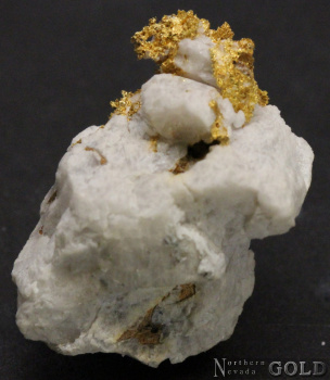 specimen_gold_4796-b