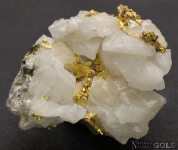 specimen_gold_4798-b