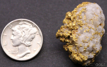 specimen_gold_4884ml-b