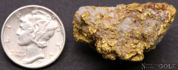 specimen_gold_4884ml-c