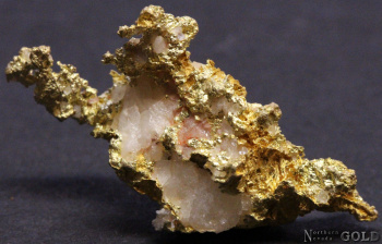 specimen_gold_4903b