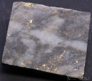 specimen_gold_4918-b