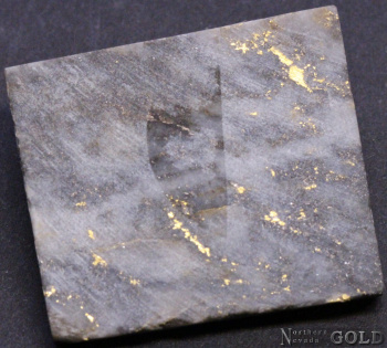 specimen_gold_4918