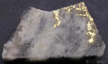 specimen_gold_4920-b