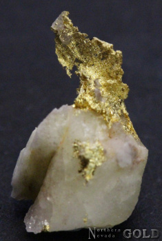 specimen_gold_4994mrco