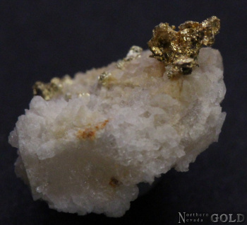 specimen_gold_5049roch-b