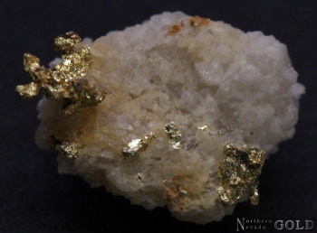 specimen_gold_5049roch-c